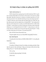 Tài liệu Kỹ thuật trồng và chăm sóc giống sắn KM94 doc