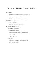 Tài liệu TNXH lớp 1 - BÀI 25 : MỘT SỐ LOÀI CÂY SỐNG TRÊN CẠN pptx