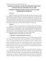 Tài liệu Nghiên cứu phản ứng chuyển hóa Este mỡ docx
