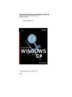 Tài liệu Programming Microsoft Windows with C# pptx