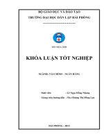 Giải pháp nâng cao hiệu quả cho vay tiêu dùng tại sở giao dịch ngân hàng TMCP ngoại thương việt nam – chi nhánh hà nội 