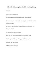 Tài liệu Cấp Giấy phép, năng định cho Tiếp viên hàng không pptx