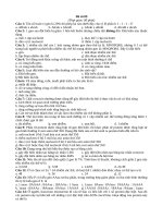 Bài soạn Đề thi thử số 09