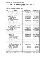 Tài liệu BÁO CÁO TÀI CHÍNH CÔNG TY CỔ PHẦN CÔNG NGHỆ VIỄN THÔNG SÀI GÒN ppt