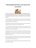 Tài liệu Phương pháp khôi phục vườn cây ăn trái sau mùa lũ pptx