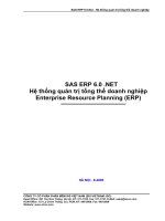 Tài liệu Hệ thống quản trị tổng thể doanh nghiệp doc