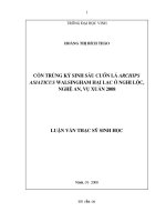 Côn trùng kí sinh sâu cuốn lá archips asiaticus walsingham hại lạc ở nghi lộc, nghệ an, vụ xuân 2008 