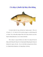 Tài liệu Cá chép vị thuốc lợi thủy tiêu thũng docx