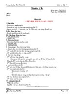 Bài soạn GIAO AN CHIEU T23 - LOP 1 (HT1)