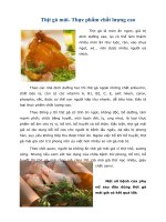 Tài liệu Thịt gà mái- Thực phẩm chất lượng cao pdf