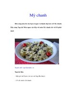 Tài liệu Mỳ chanh ppt