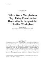 Tài liệu Personal Web Usage in the Workplace: A Guide to Effective Human Resources Management Part 2 doc