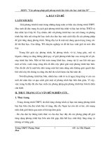 Bài giảng sáng kiến kinh nghiệm toán 10