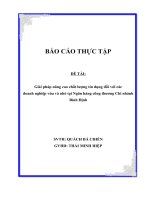 Giải pháp nâng cao chất lượng tín dụng đối với các doanh nghiệp vừa và nhỏ tại ngân hàng công thương chi nhánh bình định 