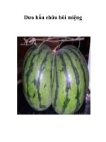 Tài liệu Dưa hấu chữa hôi miệng pdf