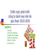 Chiến lược phát triển công ty bánh kẹo hải hà giai đoạn 2010 2020 