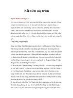 Tài liệu Nỗi niềm cây tràm pdf