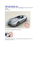Tài liệu Hiệu ứng Magnifi docx