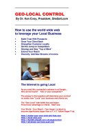 Tài liệu The Internet is going Local pptx