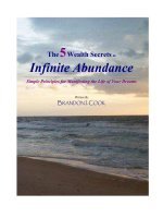 Tài liệu The 5 Wealth Secrets to Infinite Abundance pdf