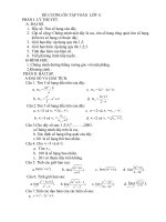 Gián án * ĐỀ CƯƠNG ÔN TẬP HỌC KÌ II LỚP 11