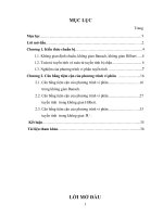 Một số vấn đề về cân bằng tiệm cân của phương trình vi phân 