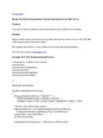 Tài liệu Retrieving Database Schema Information from SQL Server pptx