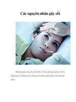 Tài liệu Các nguyên nhân gây sốt pptx