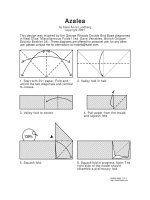 Tài liệu azalea pdf