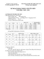 Gián án KẾ HOẠCH TỔ TRƯỞNG