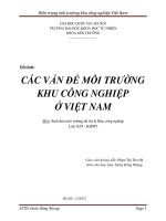CÁC vấn đề môi TRƯỜNG KHU CÔNG NGHIỆP ở VIỆT NAM 