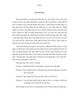 Chuyển giao công nghệ quốc tế thông qua hoạt động đầu tư trực tiếp FDI   thực trạng và giải pháp ở việt nam 