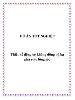 Tài liệu ĐỒ ÁN TỐT NGHIỆP: Thiết kế động cơ không đồng bộ ba pha roto lồng sóc pdf