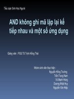 Tài liệu Tiểu luận sinh học người: AND không ghi mã lặp lại kế tiếp nhau và một số ứng dụng docx