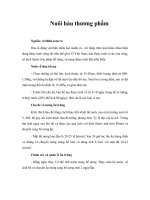 Tài liệu Nuôi hàu thương phẩm pptx