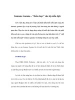 Tài liệu Immune Gamma – “thần dược” cho hệ miễn dịch pptx