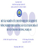 Slide NGHIÊN cứu CHUYỂN đổi cơ cấu KINH tế NÔNG NGHIỆP THEO HƯỚNG SẢN XUẤT HÀNG HÓA ở HUYỆN THANH CHƯƠNG, NGHỆ AN 