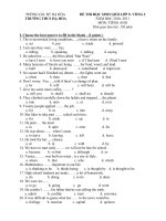 Tài liệu Đề thi HSG lớp 9 vòng 2 (2010-2011)