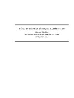 Tài liệu Báo cáo tài chính cho năm tài chính từ 01/01/2008 của Công ty cổ phần xây dựng và đầu tư 492 pdf