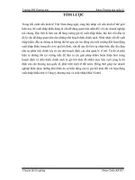 06 một số giải pháp hạn chế ảnh hưởng của  biến động tỷ giá tới hoạt động xuất nhập khẩu thiết bị viễn thông của công ty thương mại và xuất nhập khẩu viettel 