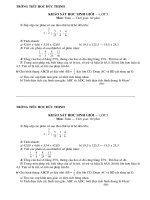 Gián án KS hoc sinh giỏi (tuần 20)