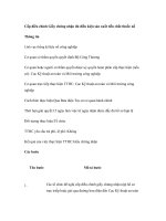 Tài liệu Cấp điều chỉnh Giấy chứng nhận đủ điều kiện sản xuất tiền chất thuốc nổ doc