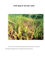 Tài liệu Tưới hợp lý cho lúa xuân doc