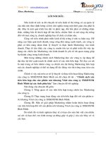 71 luan van marketing xúc tiến mar hỗn hợp cho SP nước khoáng vital của cty SXKD XNK bình minh tại khu vực phía bắc 