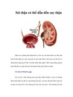 Tài liệu Sỏi thận có thể dẫn đến suy thận doc