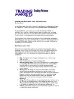 Tài liệu The Technician''''s Basic Tool The Price Chart - Sri 0028 -(pdf) pdf