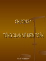 TỔNG QUAN VỀ KIỂM TOÁN