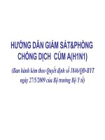 Bài giảng Tuyên truyền cúm A (H1N1)