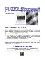 Tài liệu Fuzzy Stripes pptx
