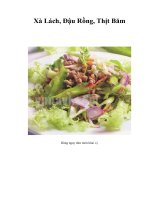 Tài liệu Xà Lách, Đậu Rồng, Thịt Băm docx